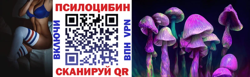 Псилоцибиновые грибы Cubensis Инза